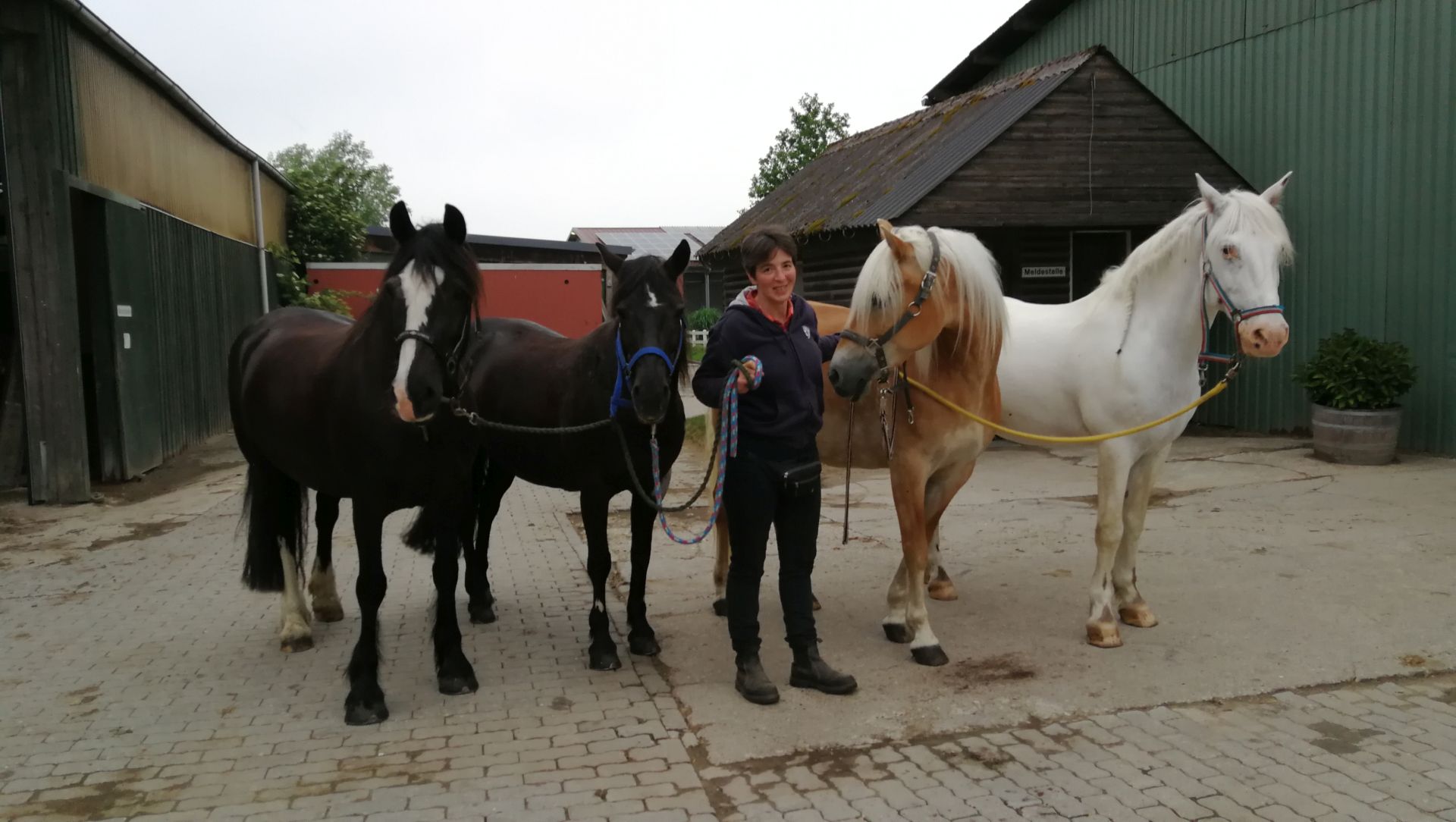 Anja Britt & Ihre Pferde